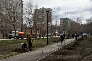Астраханцы присоединяются к озеленению города