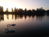 «Закат на Лебедином озере»