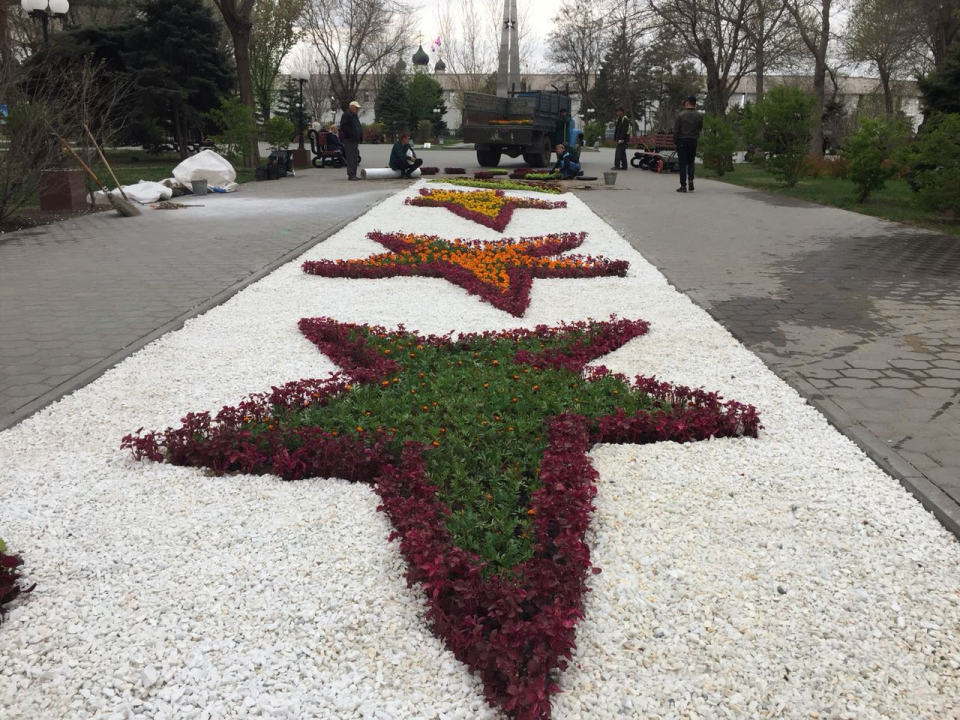 Продолжить украсить. Цветочная клумба в Братском садике Астрахань. Клумба в форме звезды. Клумба выиде заезды. Георгиевская лента из цветов на клумбе.