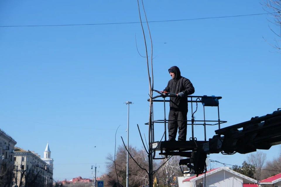 На площади Ленина зеленые насаждения готовят к весне