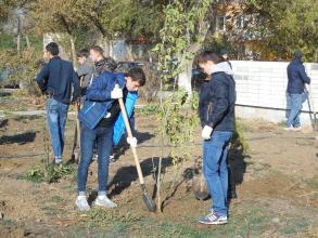 У обелиска погибшим воинам высадили деревья