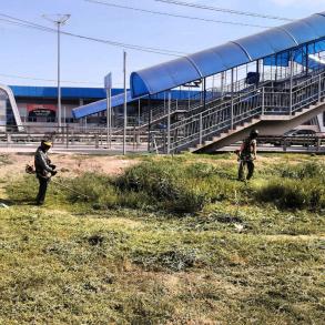 В Астрахани приступили к скосу сорной растительности