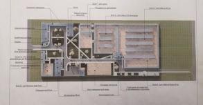 Астраханский приют для безнадзорных животных откроется осенью