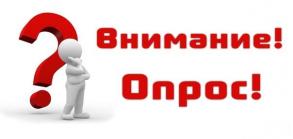 Проведение опроса.