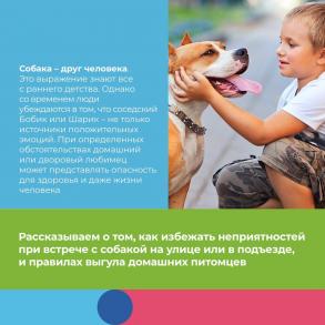 Есть простые правила, которые с большой вероятностью обезопасят Вашего ребенка от конфликта с чужой собакой