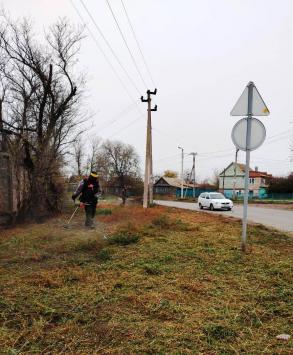 С начала года в Астрахани скосили свыше 536,6 гектара сорной растительности