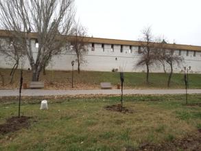 Астраханские парки и скверы готовят к морозам