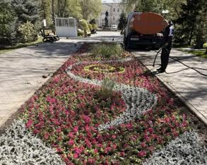 Около 30 тысяч единиц цветочной рассады уже высадили в парках и скверах города
