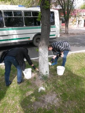 Общегородской субботник 29.04.2016 