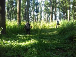 Операция "Мак-2016".