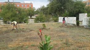 "День чистоты" в парке «Судоверфь им. Кирова».