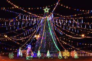 Конкурс «Украсим город вместе».