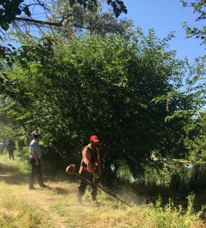 В Астрахани уничтожено 32 очага наркосодержащих растений