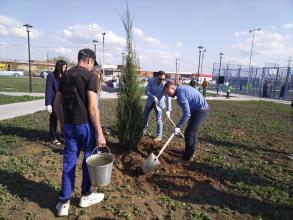 Новый сквер «Антикормаш» стал зеленее