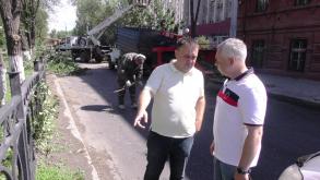 В Астрахани приступили к масштабной опиловке улицы Савушкина