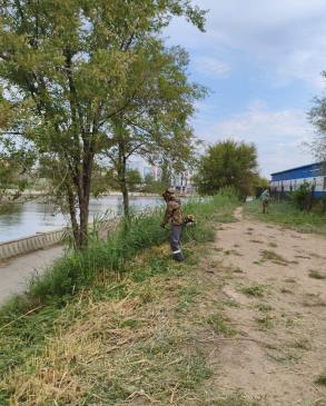 В Астрахани продолжаются работы по скосу сорной растительности