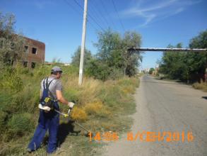 Произведен покос сорной карантинной растительности.