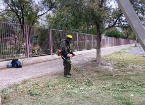 С начала года в Астрахани скосили сорняков на площади в 500 гектаров