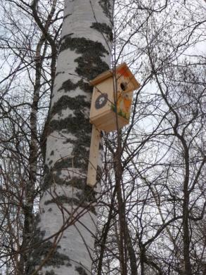 Муниципальные образовательные учреждения участвуют во Всероссийской экологической акции