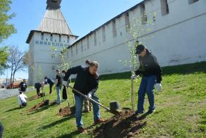 На склоне Астраханского кремля высадили 20 берез