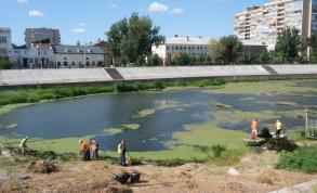 Акваторию «Стрелки» зачищают от водорослей, площадь Ленина – от сорняков