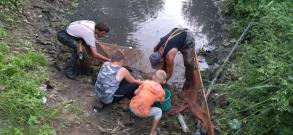 ТОС "Морской" проведены работы по спасению рыбы из пересохшей речки Яблонька в посёлке Морской Трусовского района