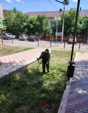 С начала года в Астрахани скосили свыше полутора миллионов квадратных метров сорной растительности