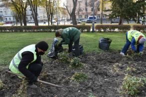 Астраханские парки и скверы готовят к зиме 