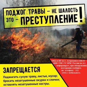 Весенняя опасность