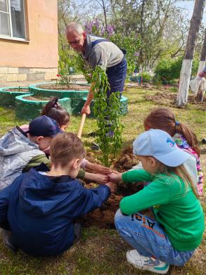 Более трех тысяч астраханцев приняли участие во Всероссийском субботнике