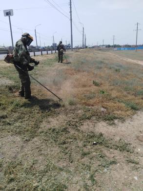 В Астрахани скосили более ста гектаров сорной травы