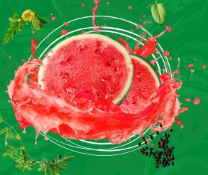 XVII Камышинский арбузный фестиваль «Зело отменный плод!»