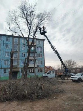 Более трехсот аварийных деревьев опилено с начала года
