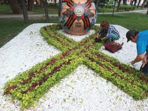 В Астрахани продолжается подсадка цветов на клумбы