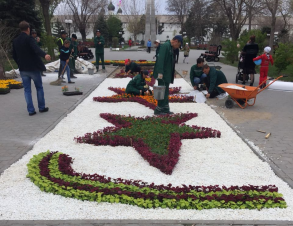В Братском саду оформили центральную клумбу