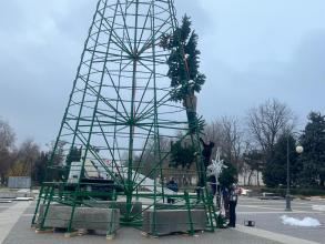 В Астрахани устанавливают главную ёлку города