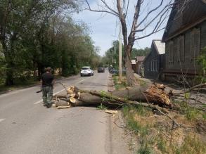 Коммунальные службы устраняют последствия сильного ветра