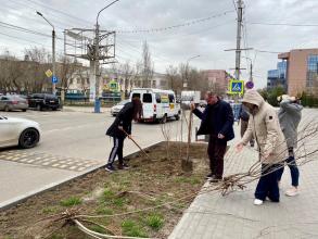 В Астрахани прошел День чистоты