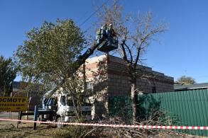 В Астрахани активизировали работы по опиловке