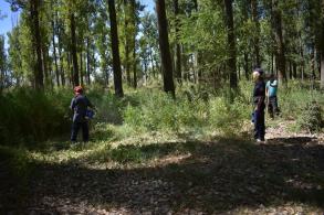 Почти 2200 квадратных метров дикорастущих наркосодержащих растений уничтожено в Астрахани