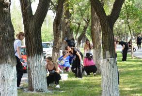 Более тонны краски ушло на побелку деревьев в Астрахани за два дня