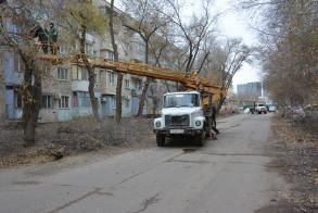 Астраханские коммунальщики ведут комплексную опиловку на улице Ахшарумова