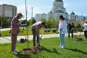 В Советском районе Астрахани прошли акции по озеленению