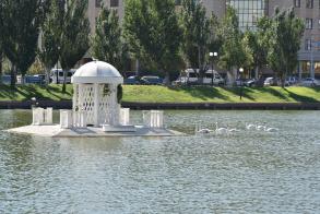 На Лебедином озере семь новых обитателей