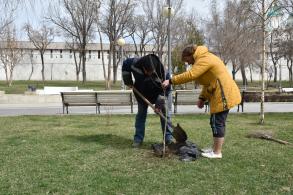 Астрахань готовится расцветать