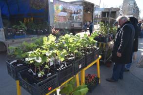 Администрация города приглашает астраханцев на ярмарку 