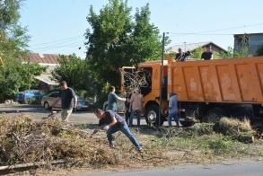 Более 700 кубометров спиленных веток вывезли сегодня с улиц Астрахани