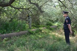 Более тысячи квадратных метров наркосодержащей растительности ликвидировали в Астрахани с начала года