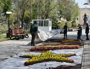 В Астрахани началась высадка цветов в скверах и парках