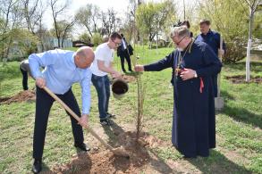 В парке Аркадия появилась Аллея дружбы
